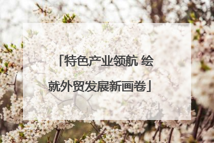 特色产业领航 绘就外贸发展新画卷